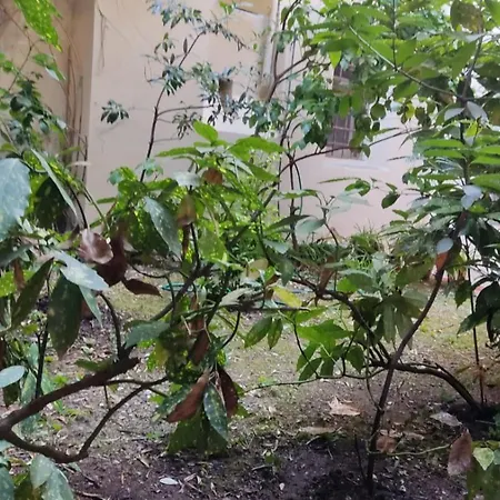 Comodo E Perfetto Per Tre Persone Floransa